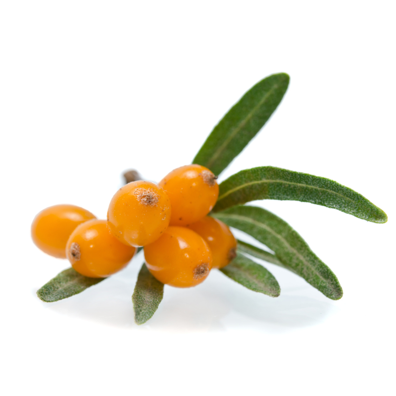 argousier soin huile visage cosmetiques naturels quebec