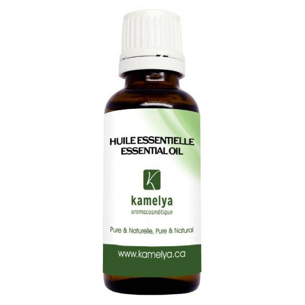 Laurel Essential Oil Kamelya Aromacosmétique Naturals cosmetics and