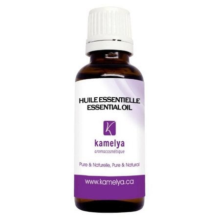 Huile essentielle lavande officinale