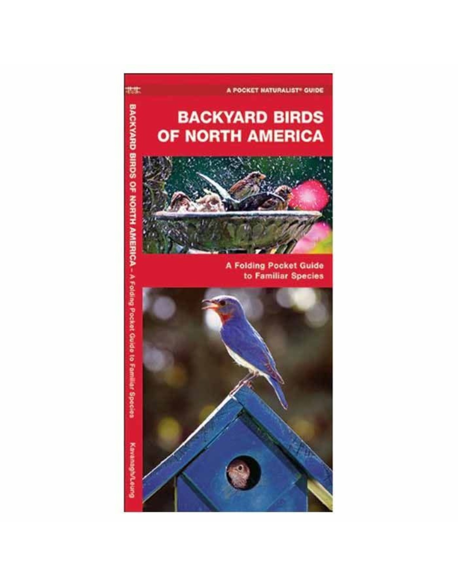 Backyard Birds of North America by James Kavanagh
