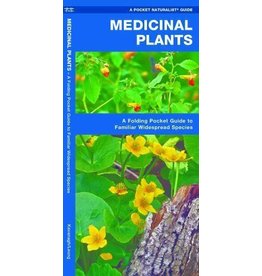Medicinal Plants by James Kavanagh