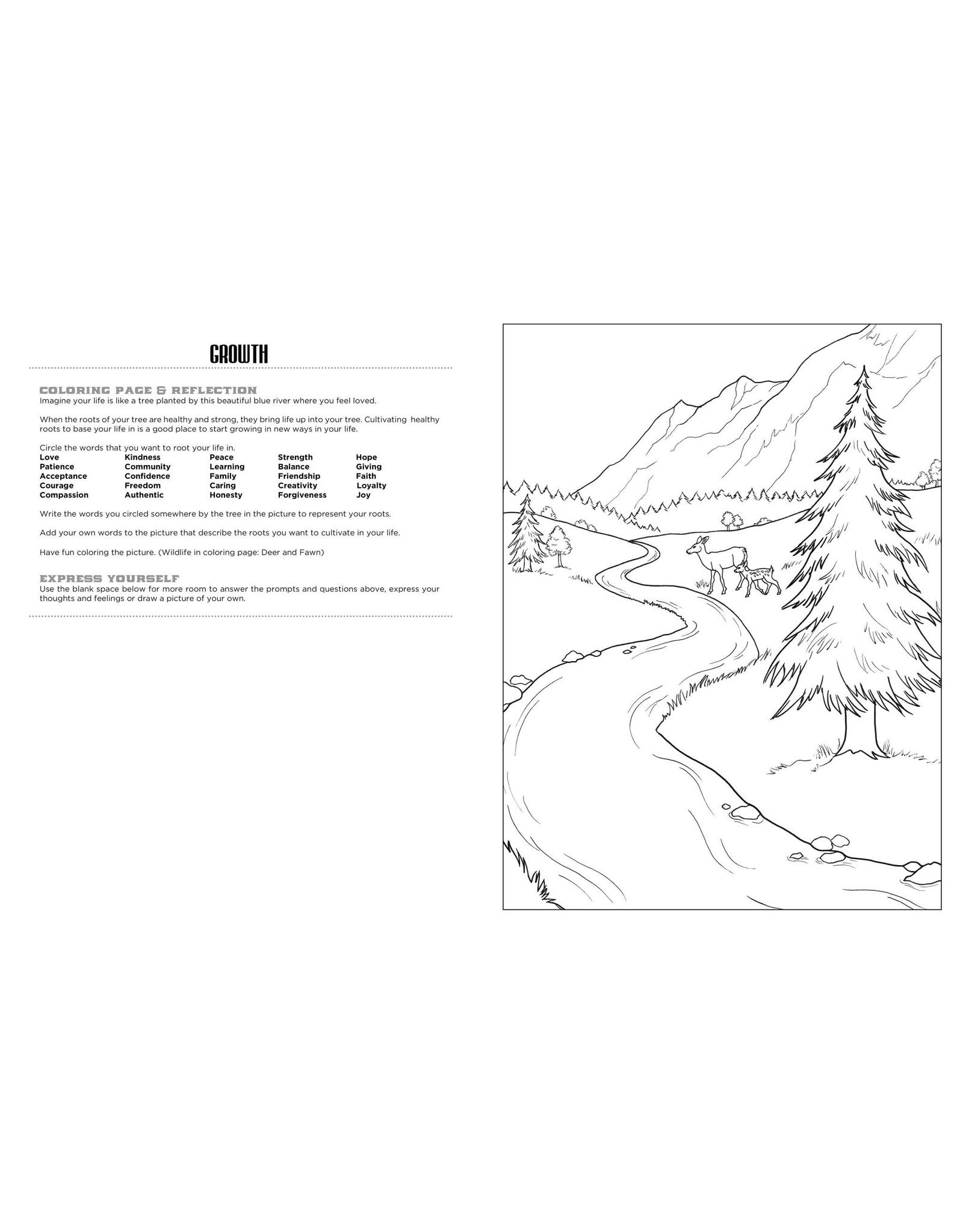 Discover at the River Expressive Art Coloring Activity Book