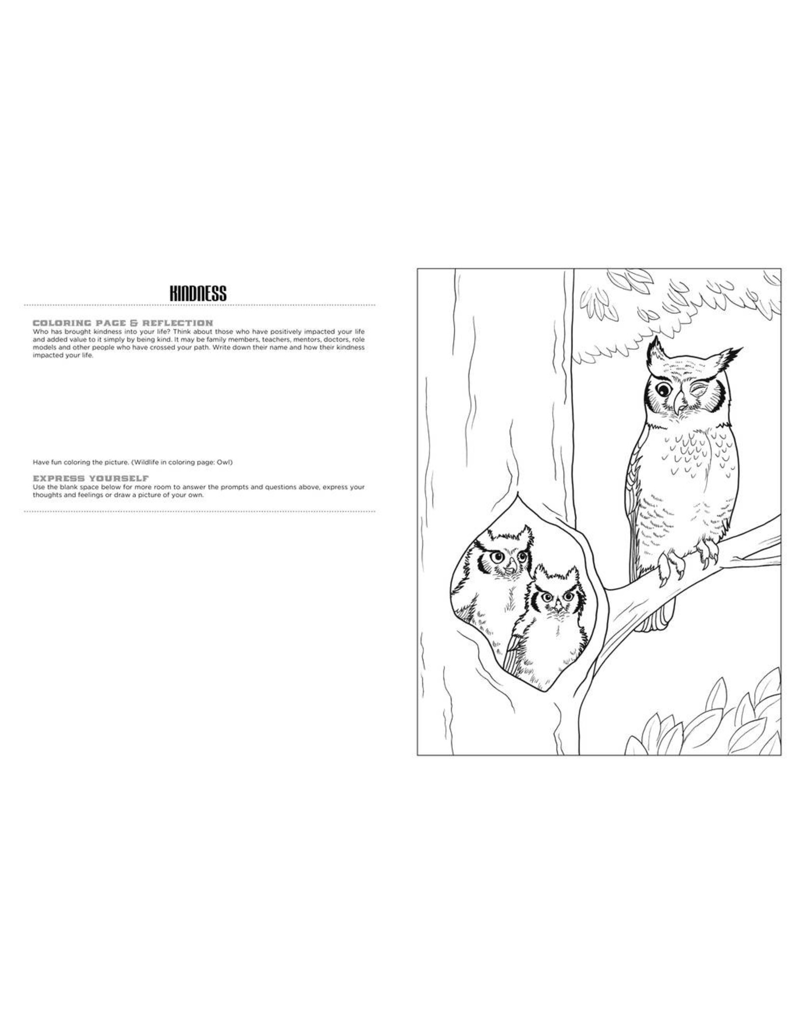 Discover at the River Expressive Art Coloring Activity Book