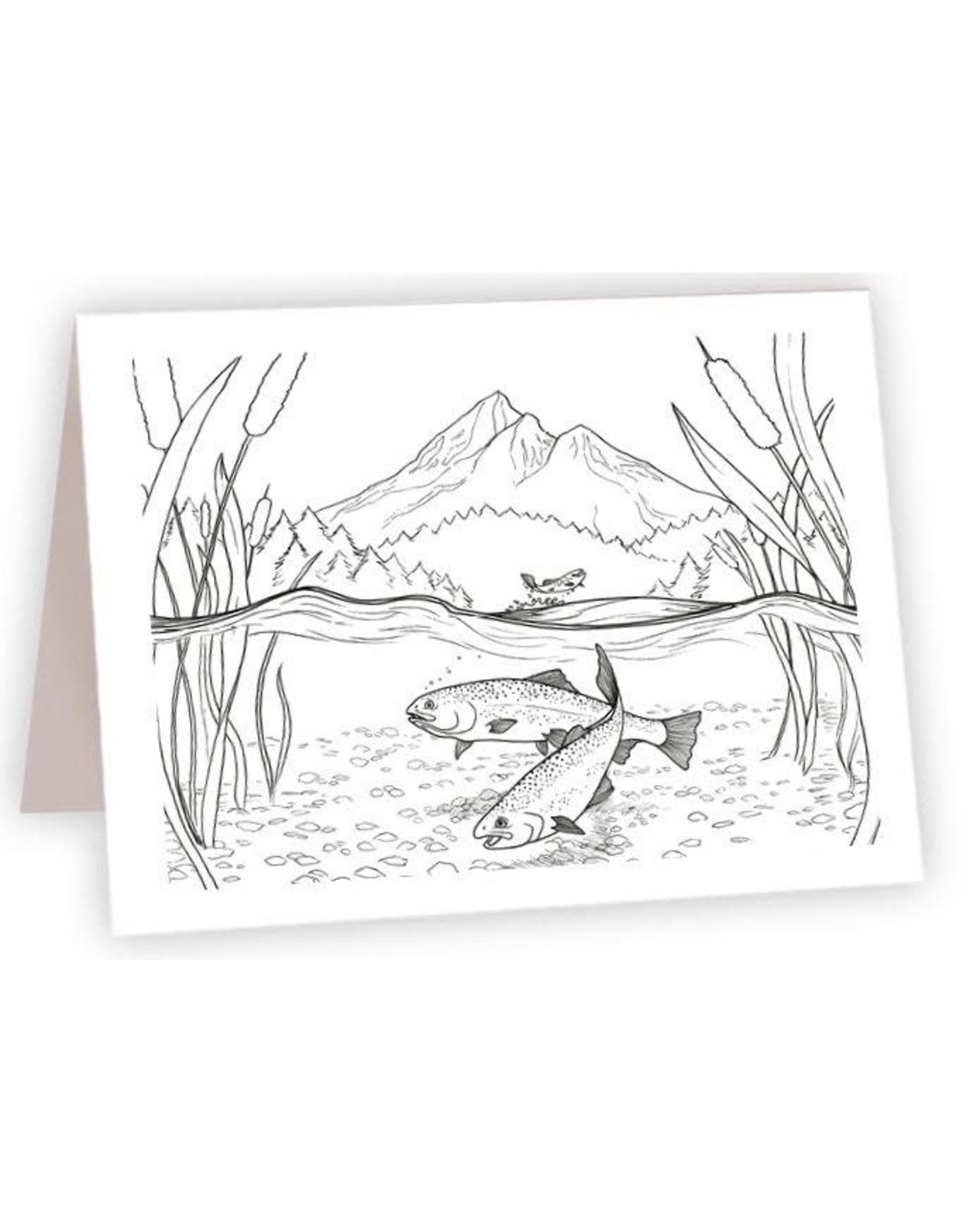Rainbow Trout Coloring Card