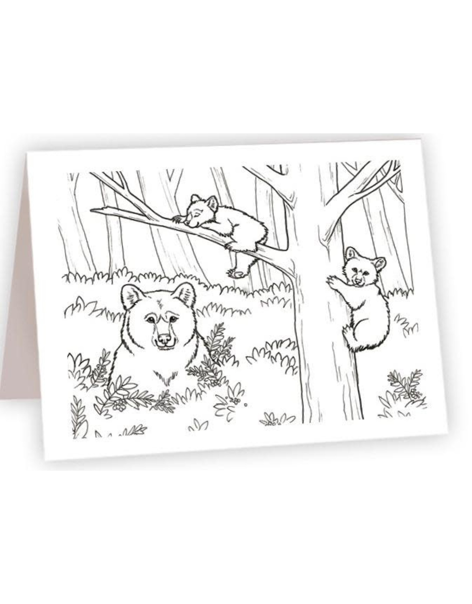 Bears Eat, Play, & Nap Coloring Card