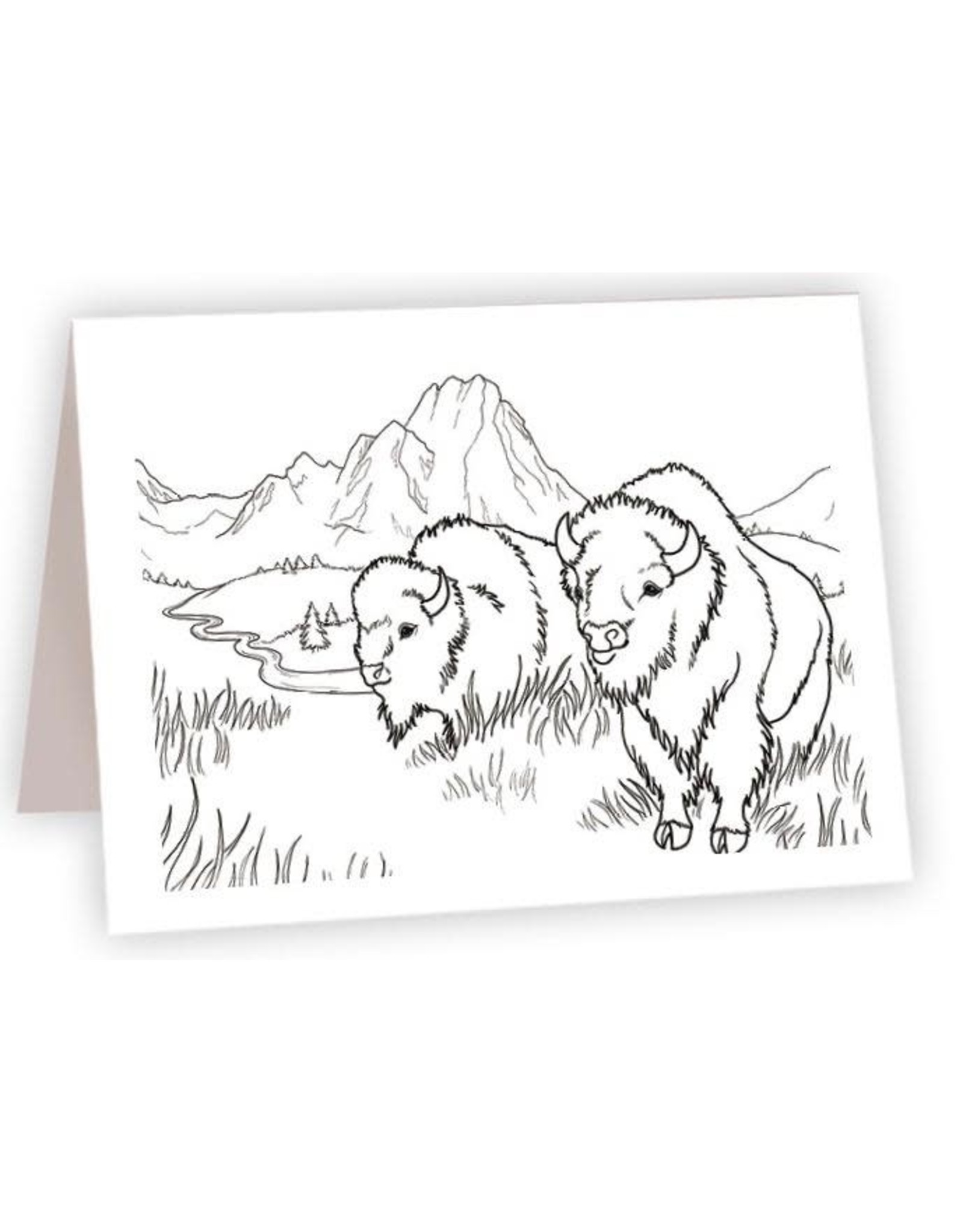 Bison Coloring Card