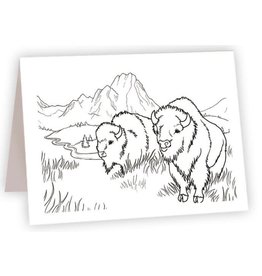 Ahava Bison Coloring Card