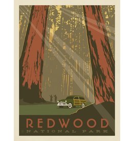 Americanflat - National Park Vintage Poster, Redwood