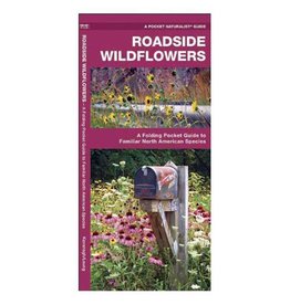 Roadside Wildflowers by James Kavanagh