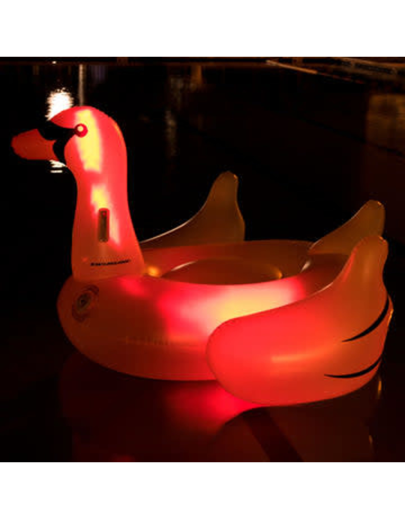 Swimline Giant LED Light-Up Swan