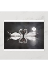 Swan Romance Postcard