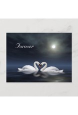 Loving Swans - Forever Postcard