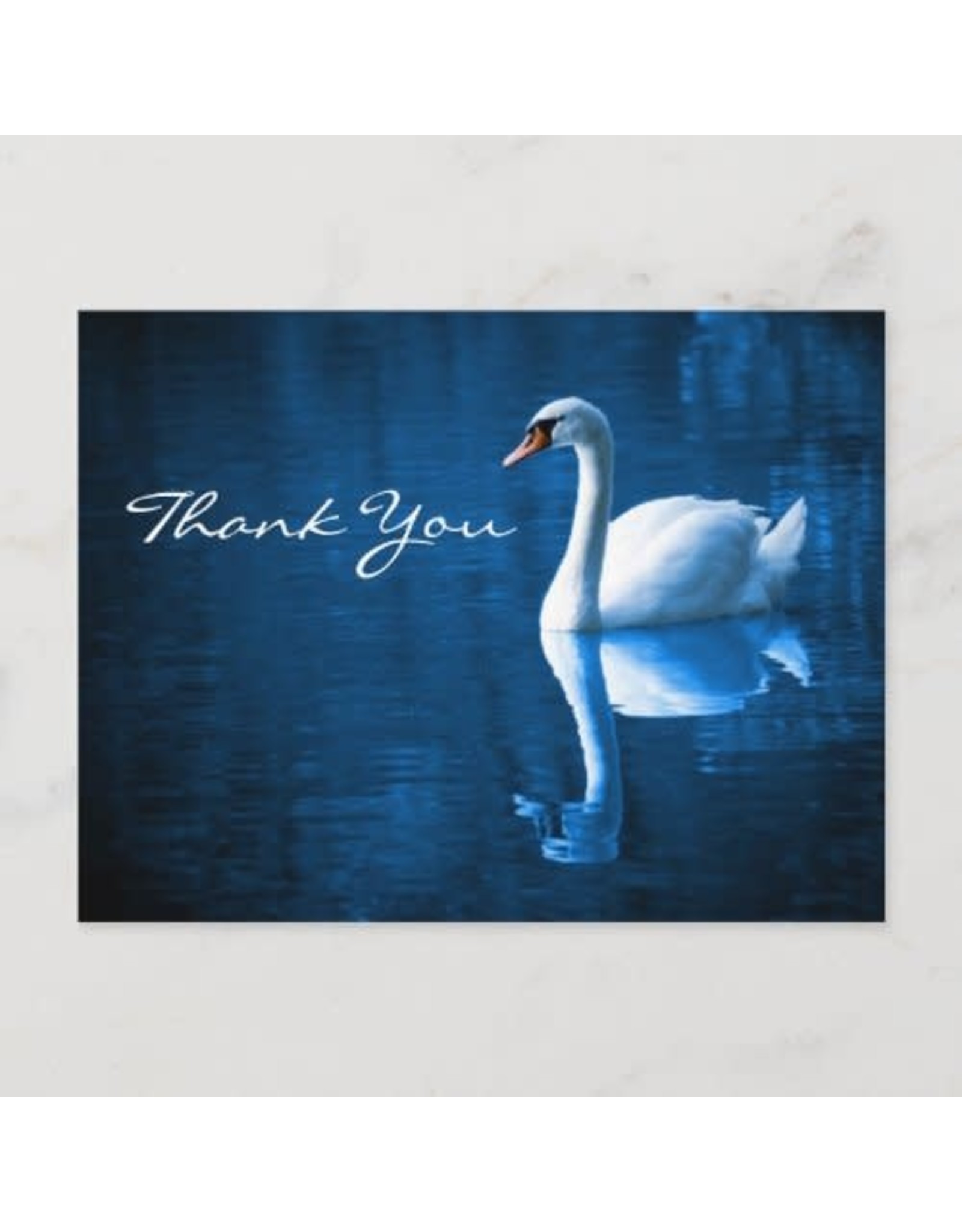 White Swan on Blue Waters - Thank You Postcard