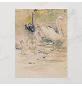 Swans Postcard