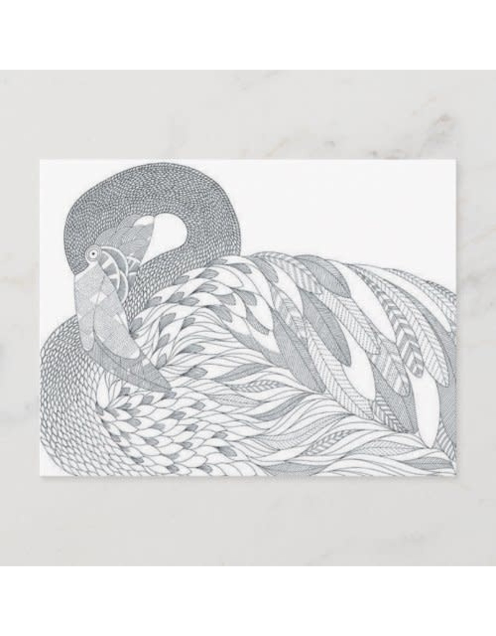 Two Sided Swan Adult Coloring Postcard