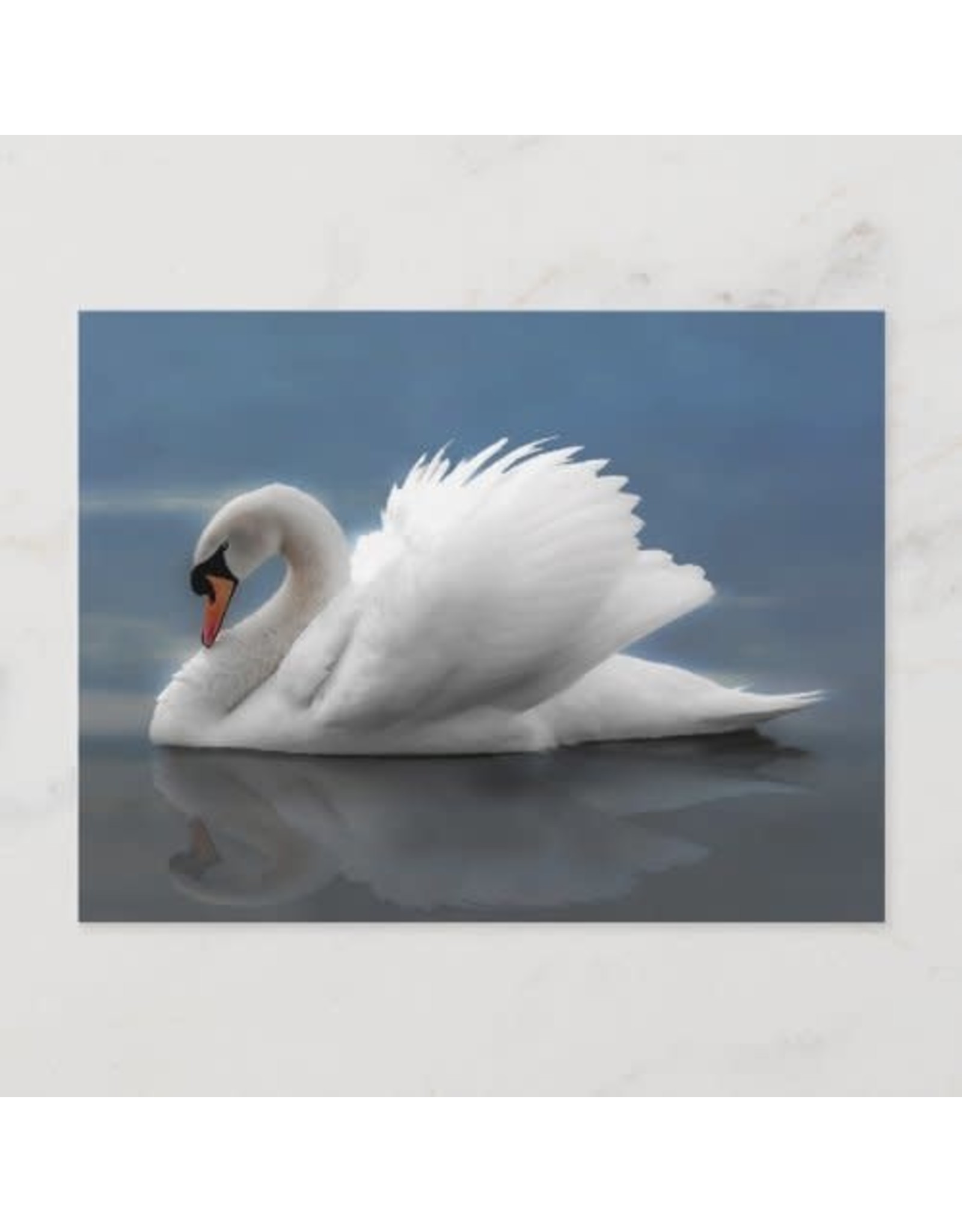 White Swan Postcard