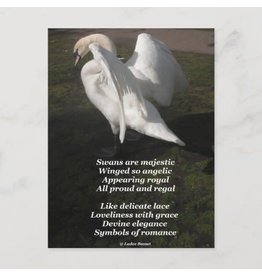 Swans are Majestic Poem Postcard