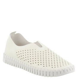 ilse jacobsen tulip mule