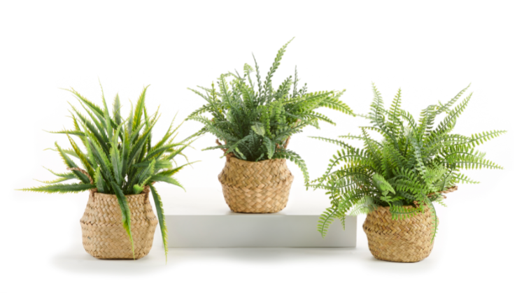 Giftcraft Giftcraft - Potted Faux Ferns 9"