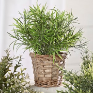 Giftcraft Giftcraft - Grass & Willow Plant Basket