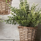 Giftcraft Giftcraft - Grass & Willow Plant Basket