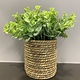 Giftcraft Gift Craft Faux Potted Plant