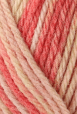 Sirdar Snuggly Rascal 8 ply