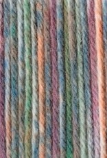 Sirdar Snuggly Rascal 8 ply