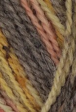 King Cole Homespun Prism DK