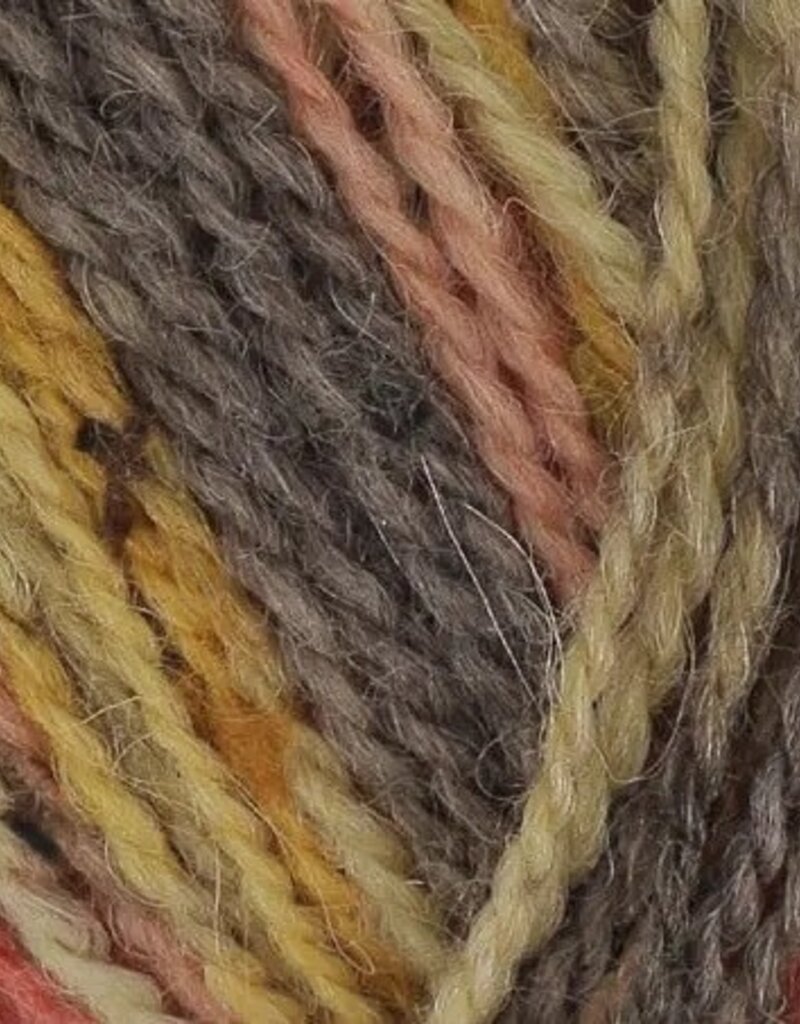 King Cole Homespun Prism DK