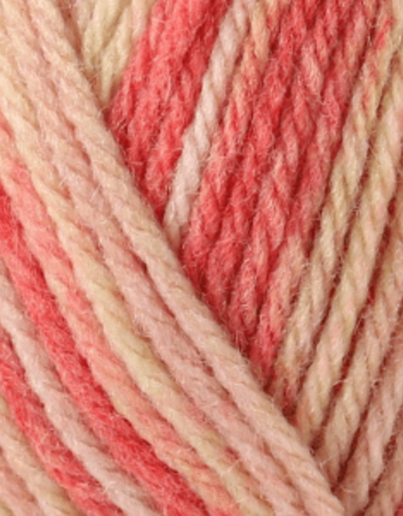 Sirdar Snuggly Rascal 8 ply