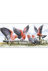 Cross Stitch Kit - Galahs by the Water Pump
