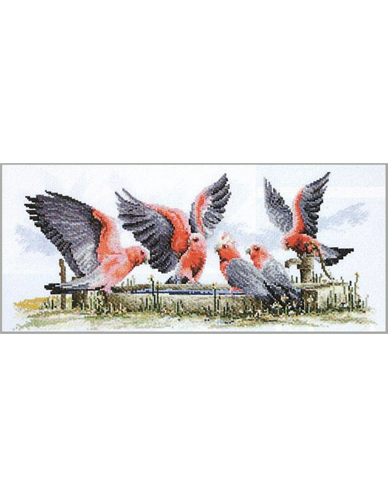 Cross Stitch Kit - Galahs by the Water Pump