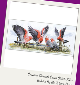 Cross Stitch Kit - Galahs by the Water Pump
