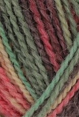 King Cole Homespun Prism DK