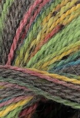King Cole Homespun Prism DK