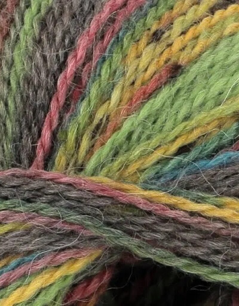 King Cole Homespun Prism DK