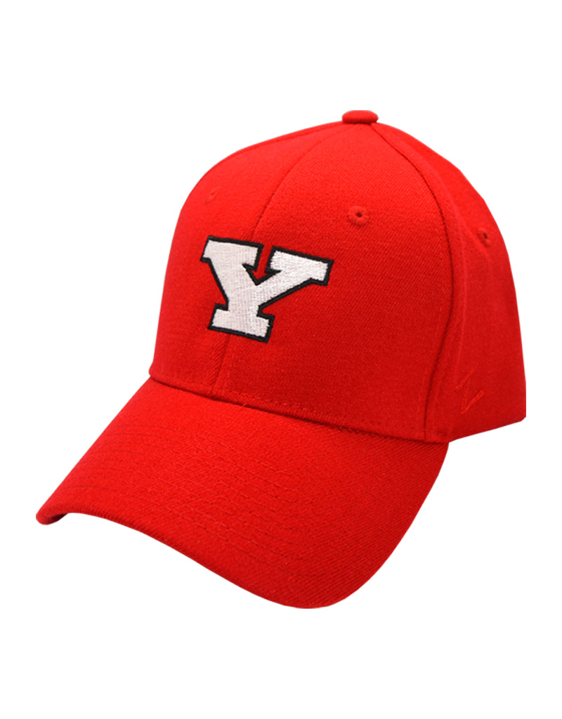penguins fitted hat