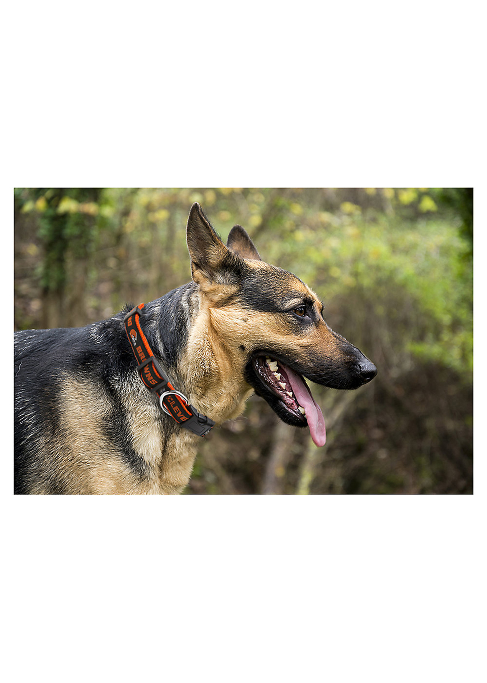 Cleveland Browns Pet Collar