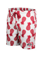 Colosseum Athletics Ohio State Buckeyes Pineapple Swim Shorts