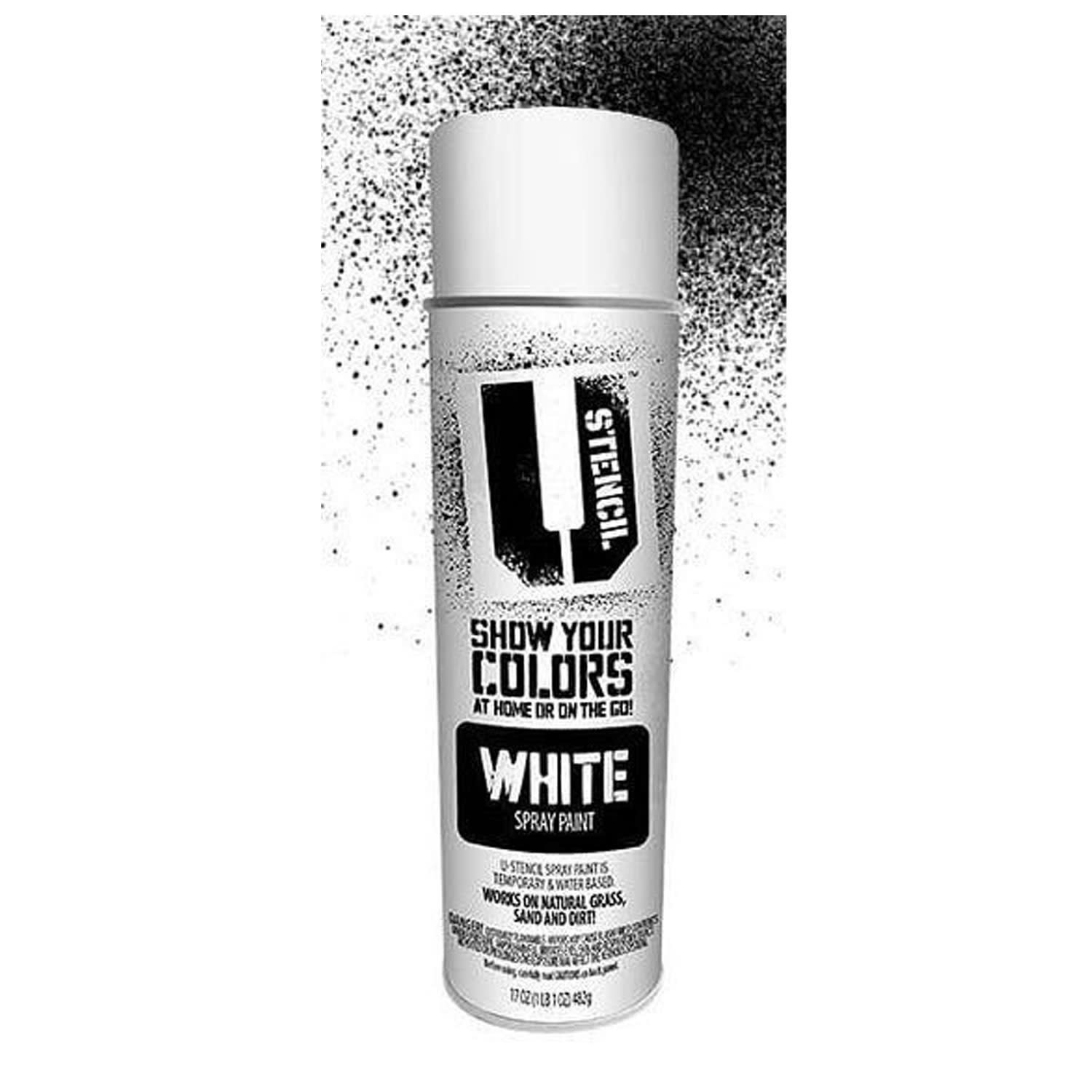 White Spray Paint Everything Buckeyes