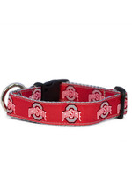 ALL STAR DOGS Ohio State Buckeyes Dog Collar