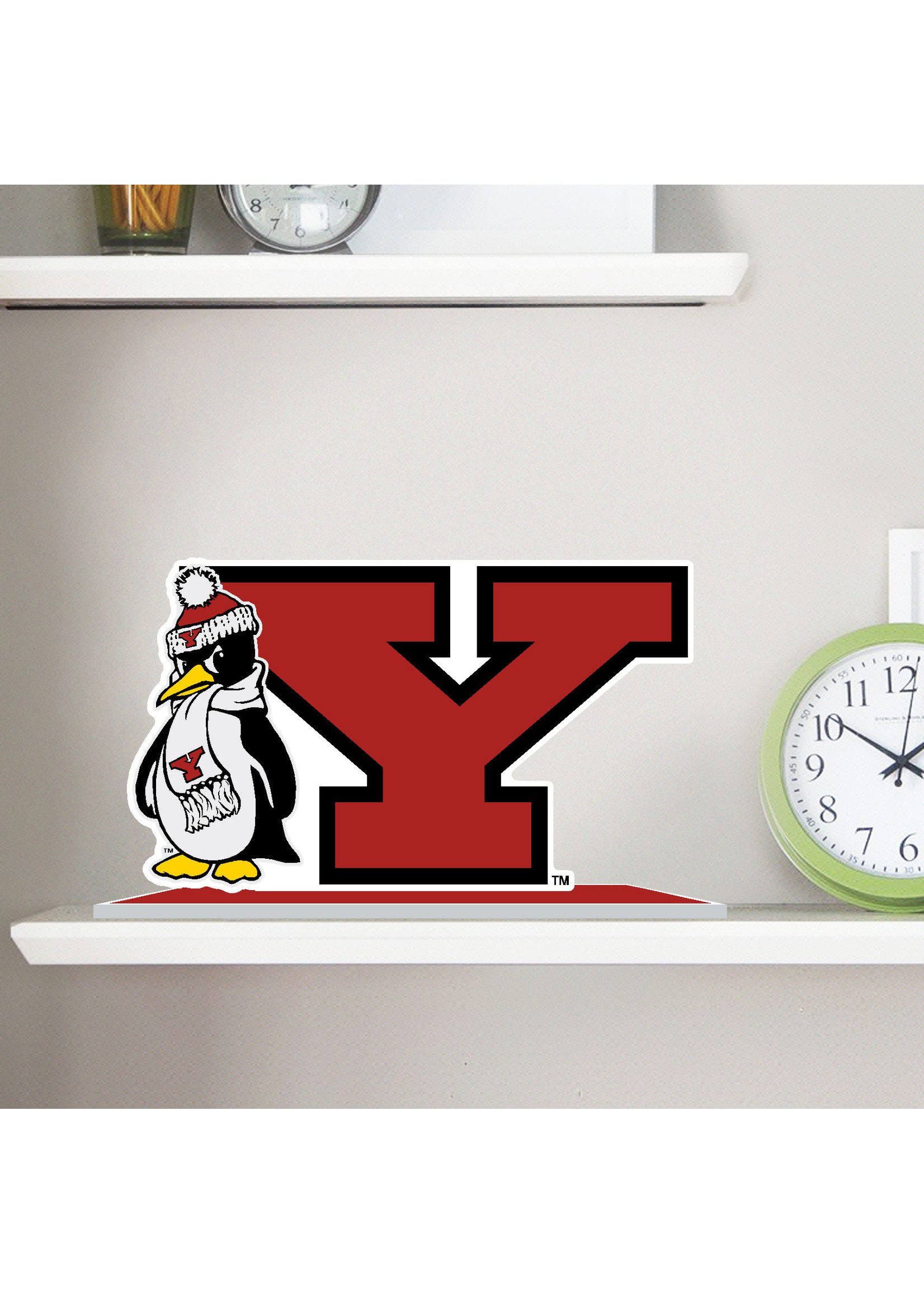 Youngstown State Penguins Standee