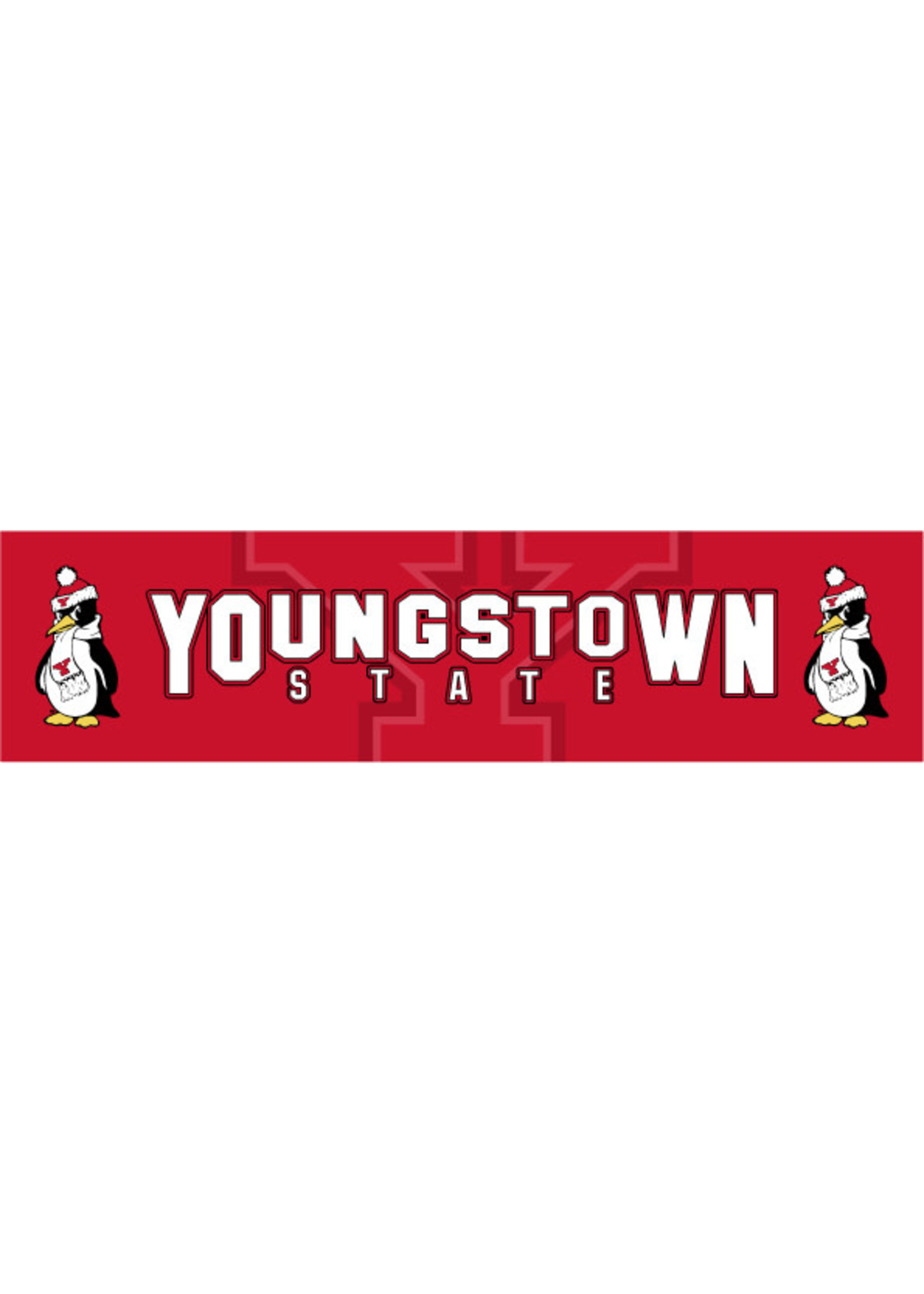 Youngstown State University 2ft x 8ft Banner