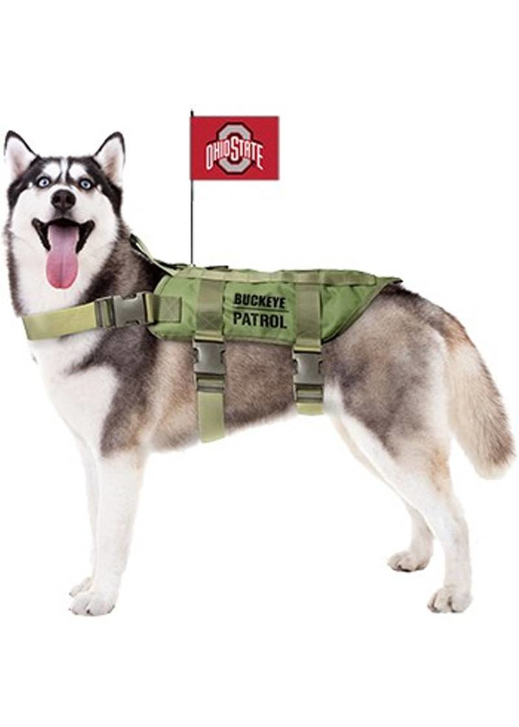 ohio state dog harness