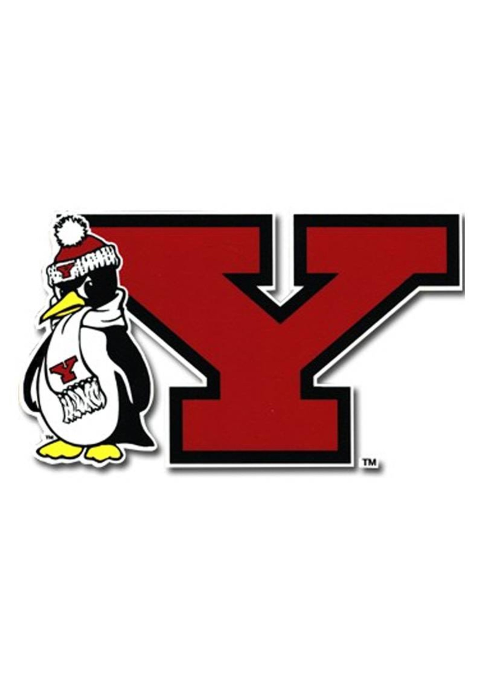 Youngstown State Auto Decal