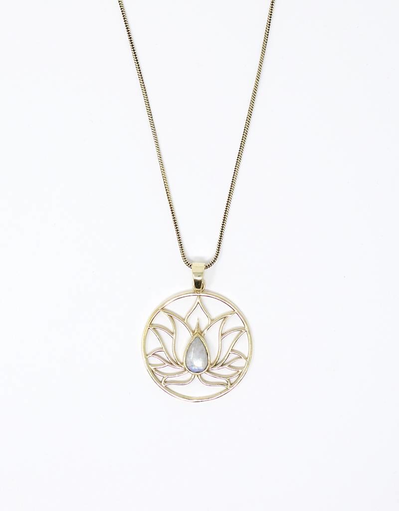 The beautiful necklace