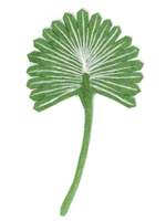 Global Goods Partners Felt Scalloped Fan Palm Leaf