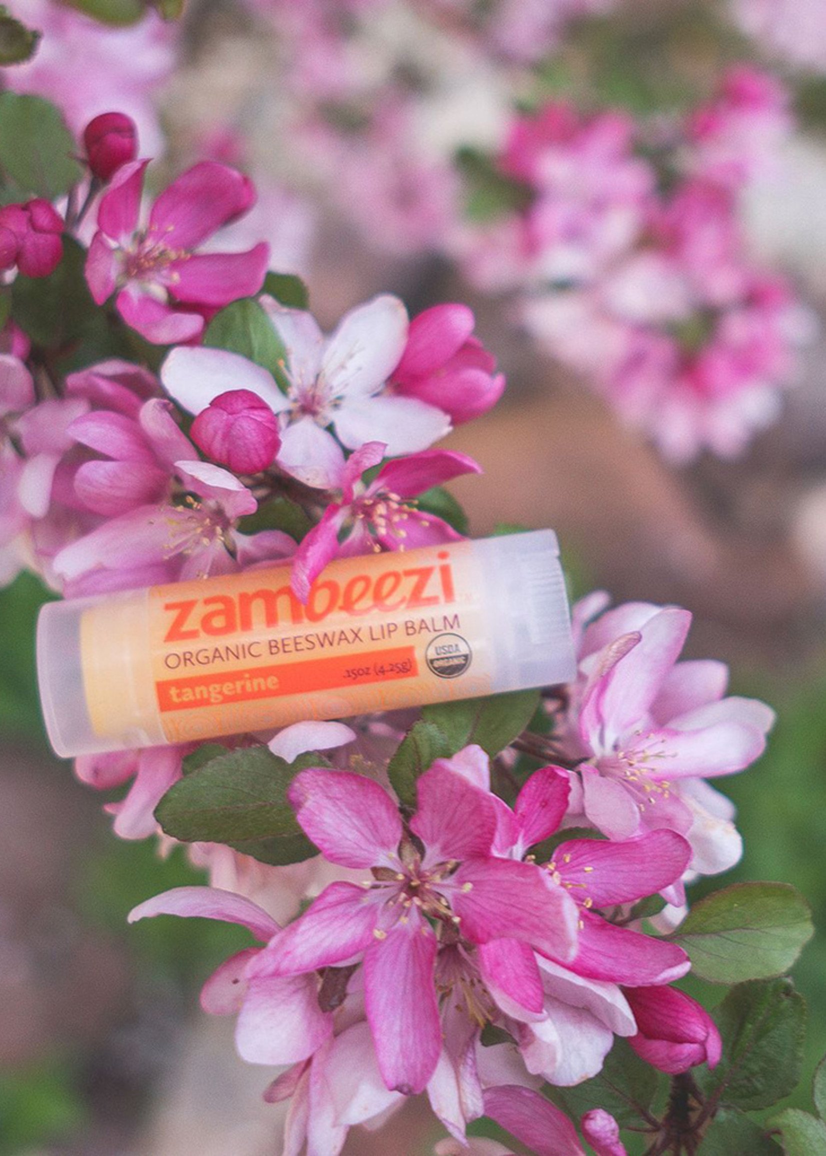 Tangerine Beeswax Lip Balm