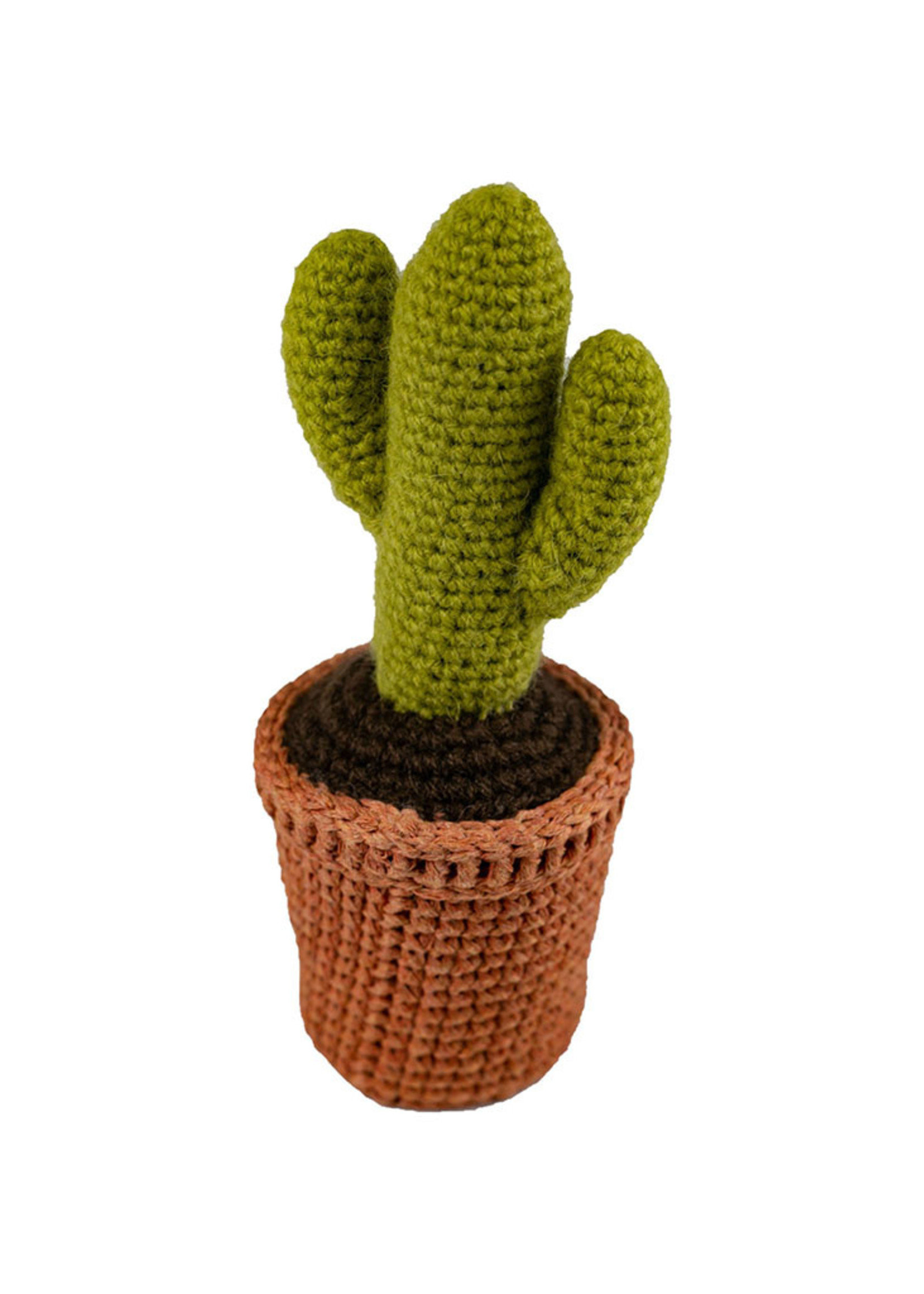 Green Knit Cactus Plant